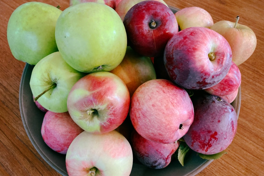 A large bowl, overflowing with apples of all different colors and textures, sitting on a wooden table.