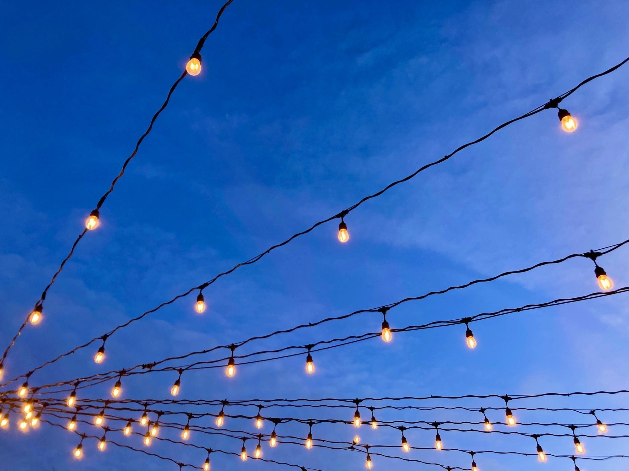 Strings of hanging warm lights in front of a deep blue sunset sky.