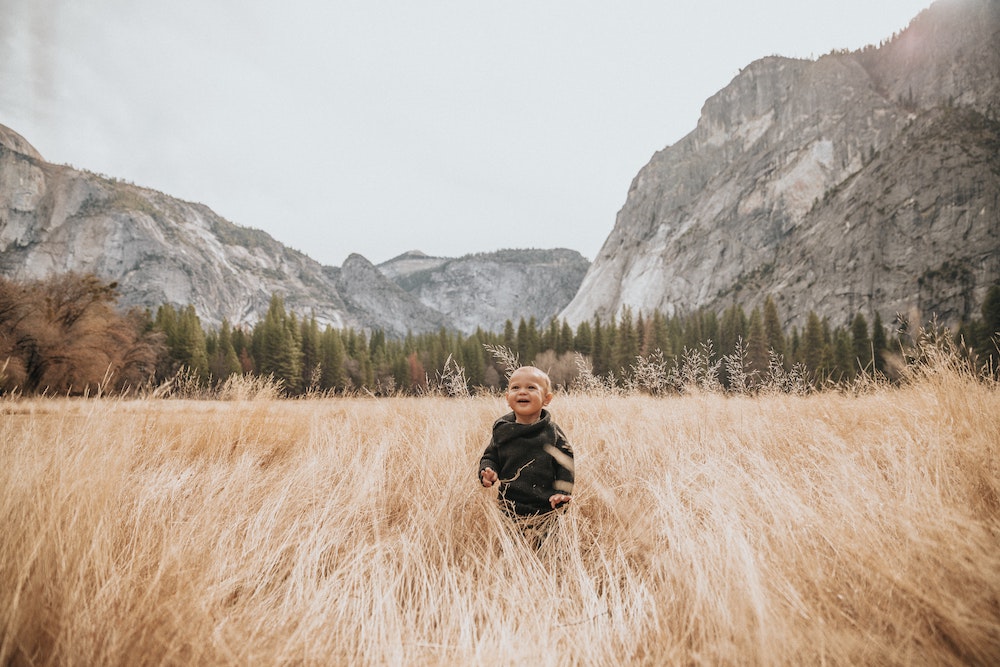 Small child in a field of wheat, framed by mountains