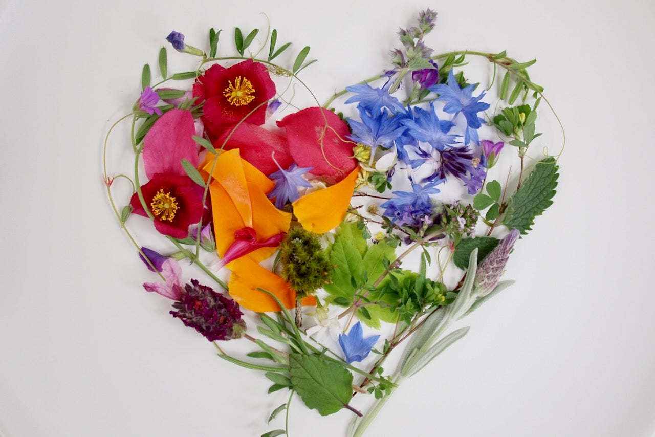 Photograph of a heart shape produced by an arrangement of flowers in a rainbow pattern representing Pride month celebration