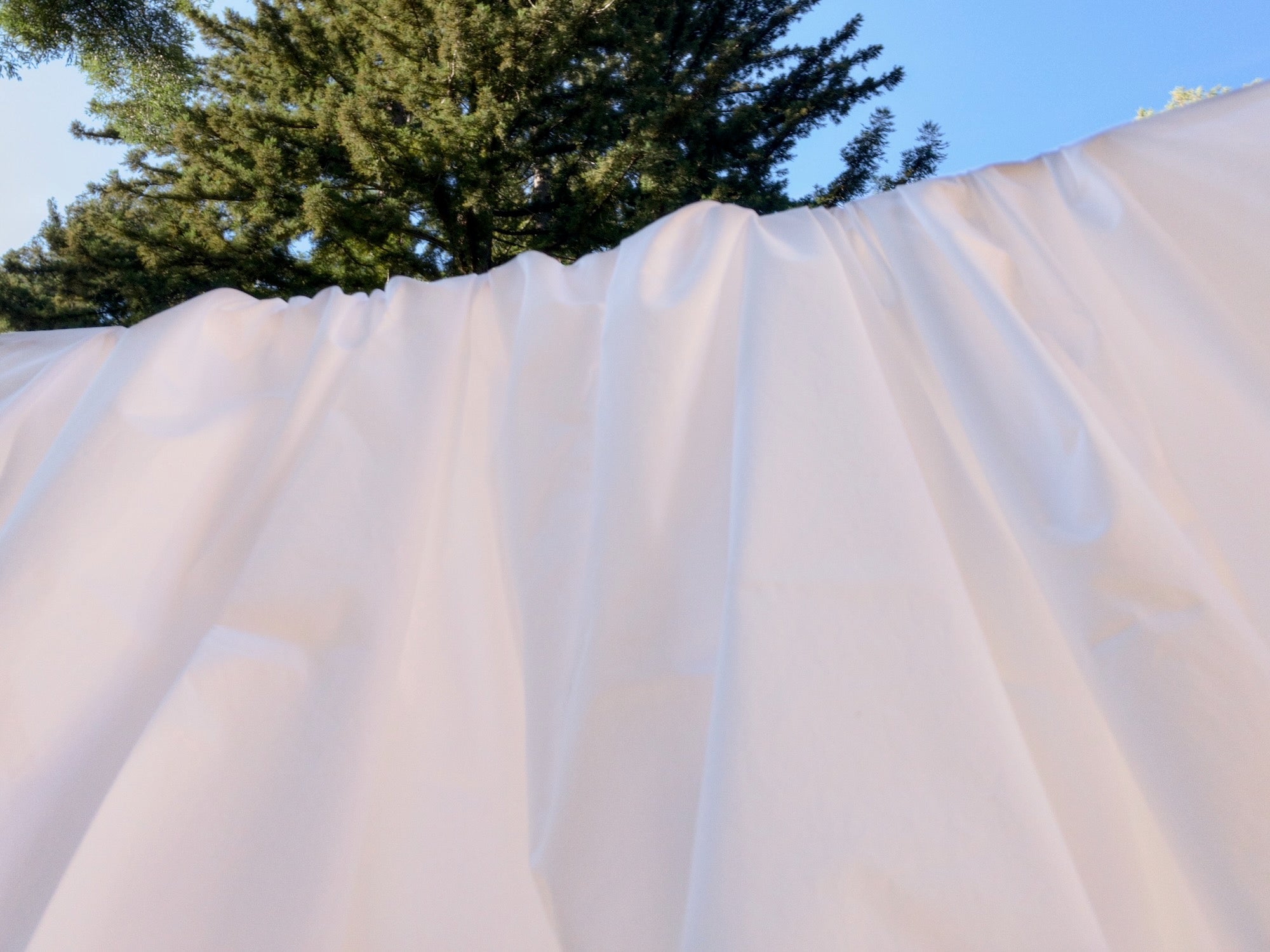 Oolie white organic cotton sheets in the open air redwood forest