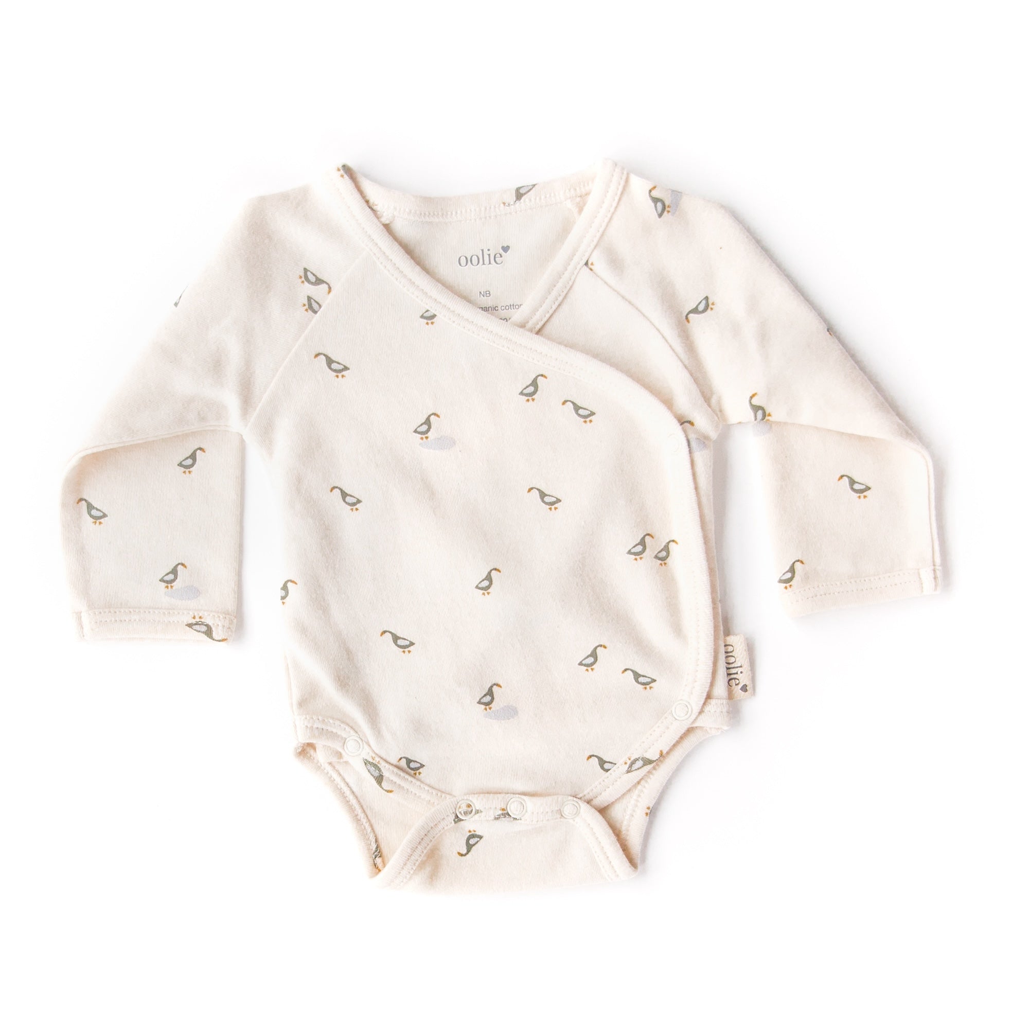 Organic Baby Bodysuit – Runner Ducks